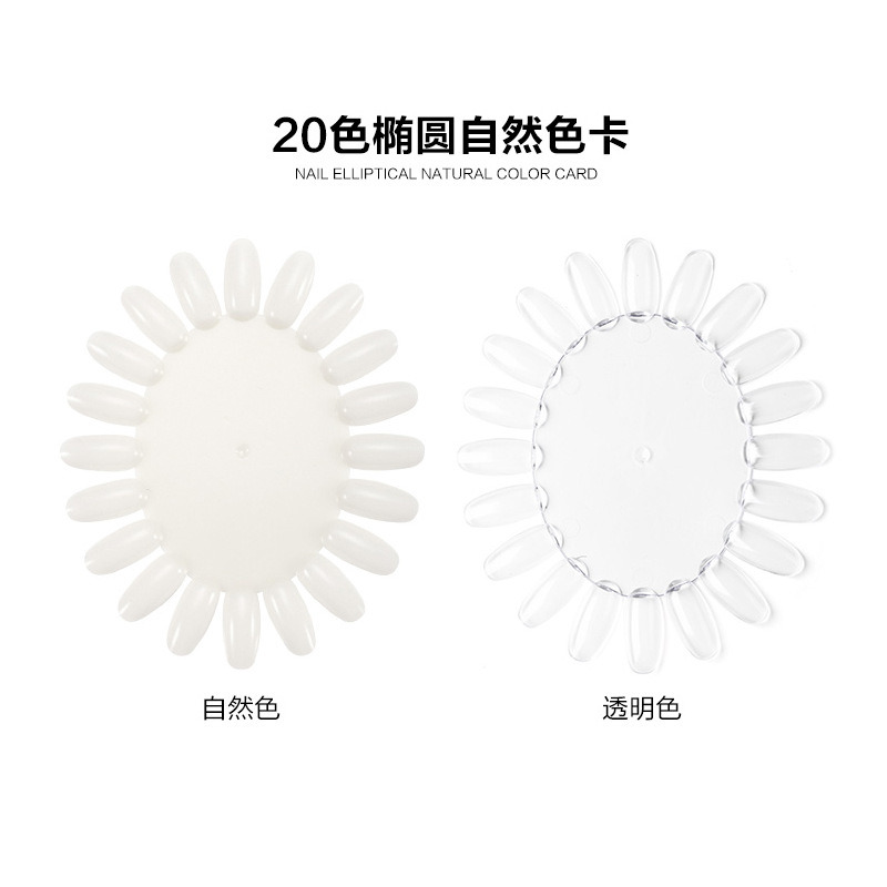 Oval Nail Art Polish Color Display Card Nail Color Chart