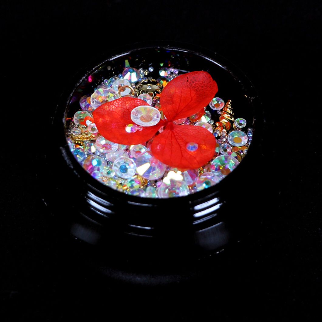 Nail Art Real Dry Flower Colored Diamonds Crystal Stones