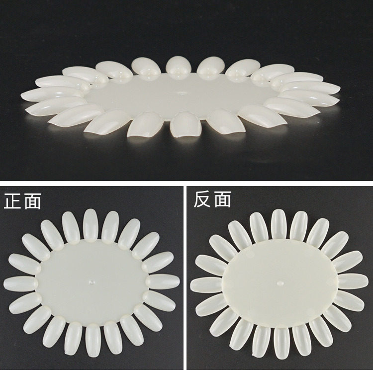 Oval Nail Art Polish Color Display Card Nail Color Chart