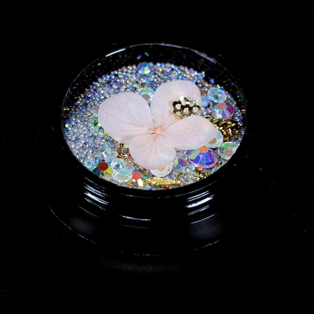 Nail Art Real Dry Flower Colored Diamonds Crystal Stones
