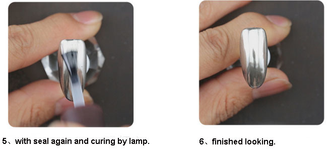 Nail Pigment Nail Art Chrome Powder Manicure Mirror Powder Set