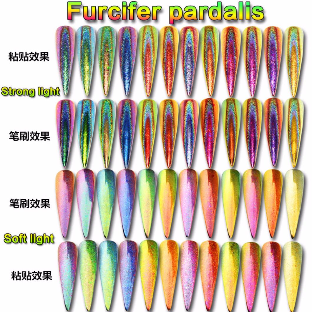 12-Color Chameleon Flakes Tips Nail Art Glitter Power Nail Decoration